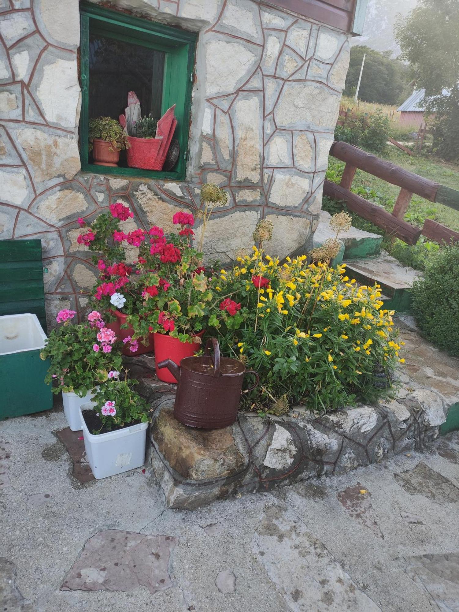 Villa Durmitorska Koliba Sa Kupatilom Žabljak Habitación foto